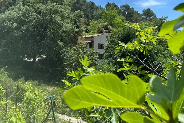 Dreamia - Jardin arboré